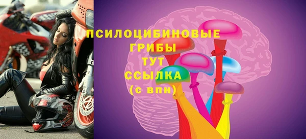 мдпв Арсеньев
